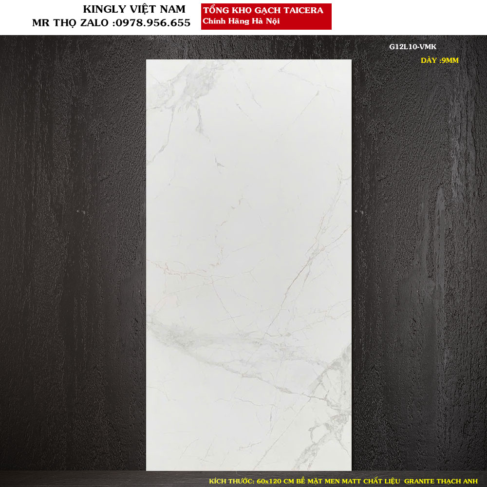 Gạch lát nền Granite Taicera 60x120 cm G12L10 Loại 1